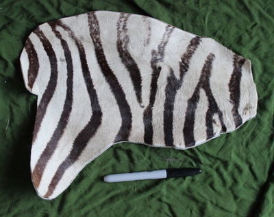 Vintage Zebra Tanned Hide Fur
