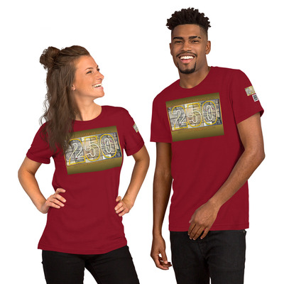Usa 250 birthday celebration unisex t-shirt