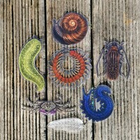 Transparent Nature Stickers - Thumbnail 3