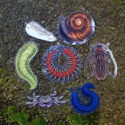 Transparent nature stickers