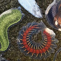 Transparent Nature Stickers - Thumbnail 4