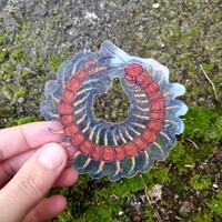 Transparent Nature Stickers - Thumbnail 5