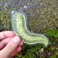 Transparent Nature Stickers - Thumbnail 6
