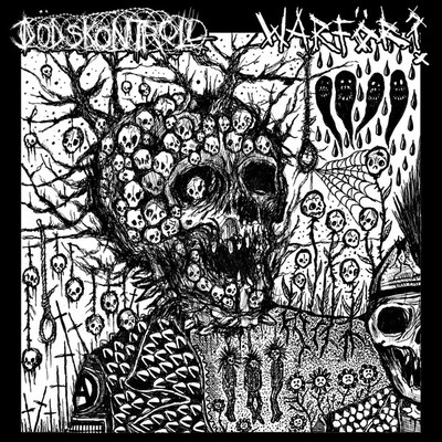 Dodskontroll/ warfor - split lp