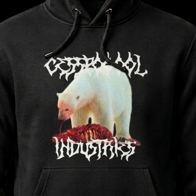 Polar opposites hoodie