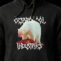 Polar Opposites Hoodie - Thumbnail 2