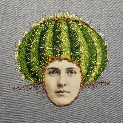 Barrel cactus
