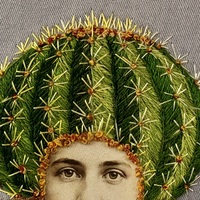 Barrel Cactus - Thumbnail 1