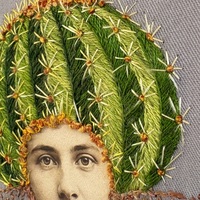 Barrel Cactus - Thumbnail 4
