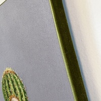 Barrel Cactus - Thumbnail 5