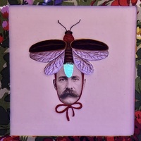 Firefly Bonnet (glows in the dark!) - Thumbnail 6
