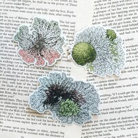Lichen Stickers - Thumbnail 1