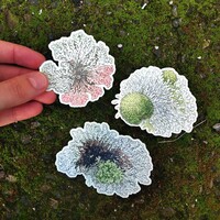 Lichen Stickers - Thumbnail 3