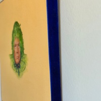 Algae Bonnet 2026 - Thumbnail 5