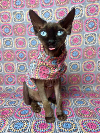 Grandma’s Crochet Thermal
