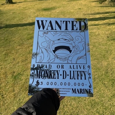 One Piece Wanted Monkey D. Luffy Poster Mirror - Anime Room Decor