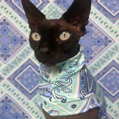 Sea glass bandana - sleepwear