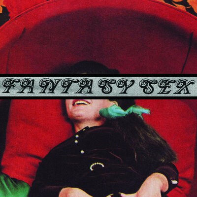 Fantasy Sex 12"