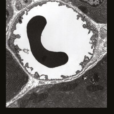 Climax denial 'midwestern erogenous zones' c-30