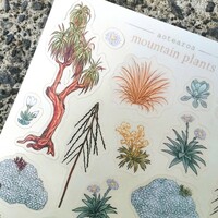 Alpine Creatures & Plants Sticker Sheets - Thumbnail 9