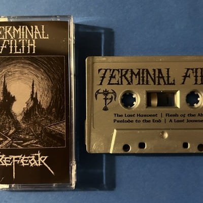 Terminal filth / axefear - split