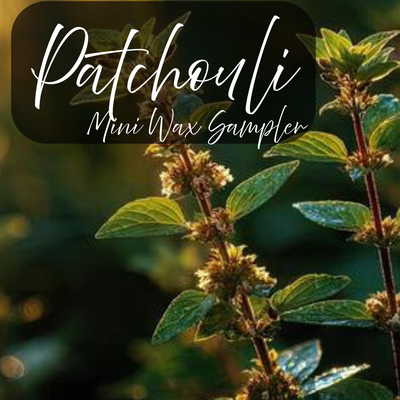 Patchouli wax sampler