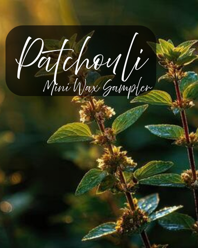 Patchouli wax sampler