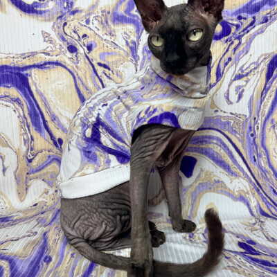 Purple haze - ribbed for her pleasure