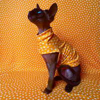 Creamsicle - Ribbed For Her Pleasure  - Thumbnail 1