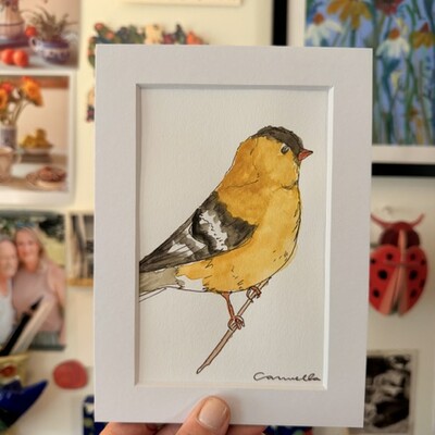 Original 5x7 inch matted painting “goldie”