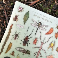 Forest Creatures Sticker Sheets - Thumbnail 1