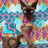 Prism Python - Sleepwear - Thumbnail 1