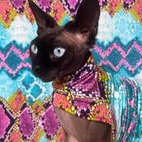 Prism Python - Sleepwear - Thumbnail 2