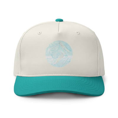 Class two-tone cap - trip