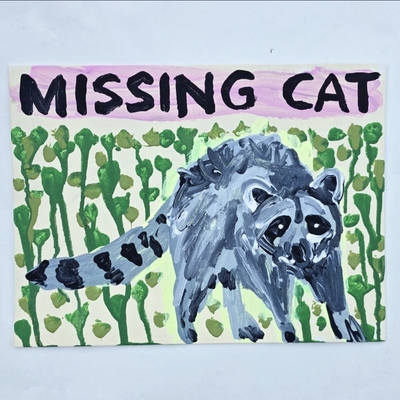 Missing cat