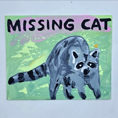 Missing cat - Thumbnail 1