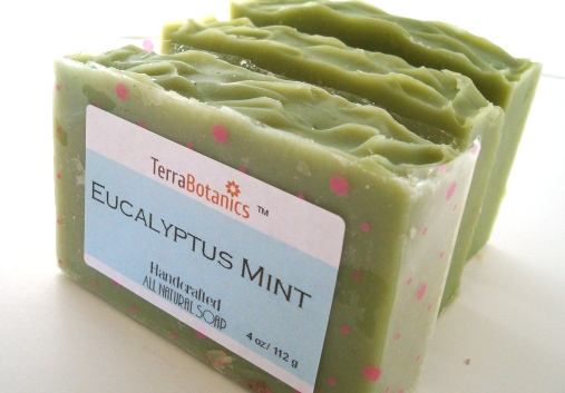 Eucalyptus Mint Soap
