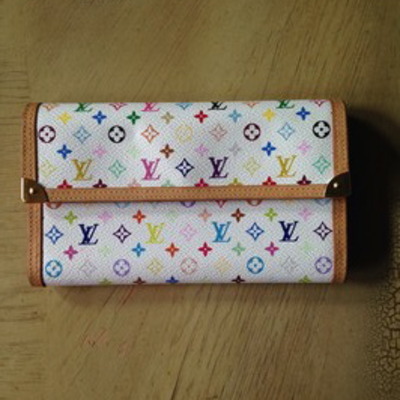 Louis vuitton multicolore wallet