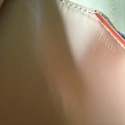 Louis vuitton multicolore wallet