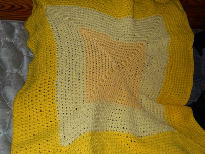 2 Color Crochet Baby blanket 