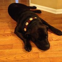 Custom Bottle Cap Collars in Any Size - Thumbnail 2