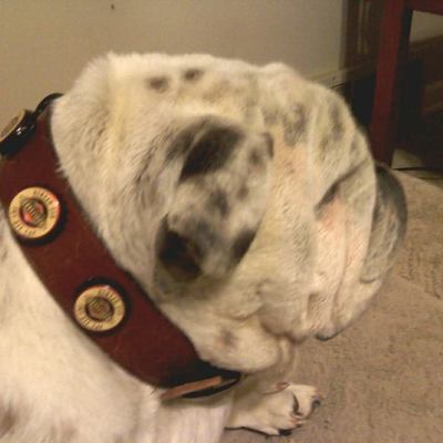 Custom bottle cap collars in any size