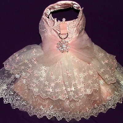 Portrait dress-style r