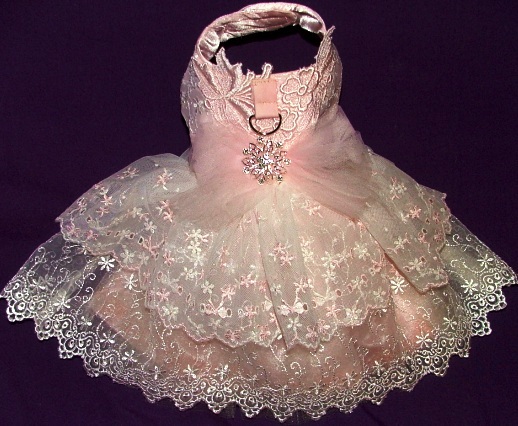 Portrait Dress-Style R