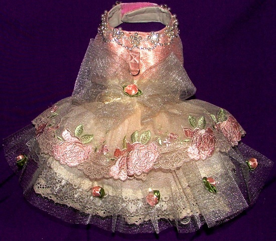 Portrait Dress-Style T