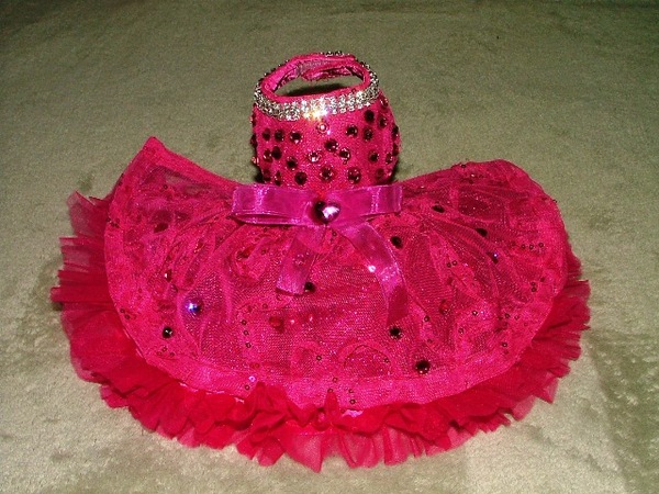 Portrait Dress-Style W