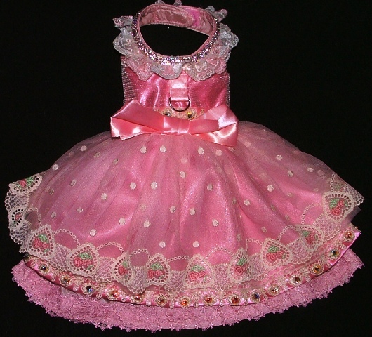 Portrait Dress-Style Z