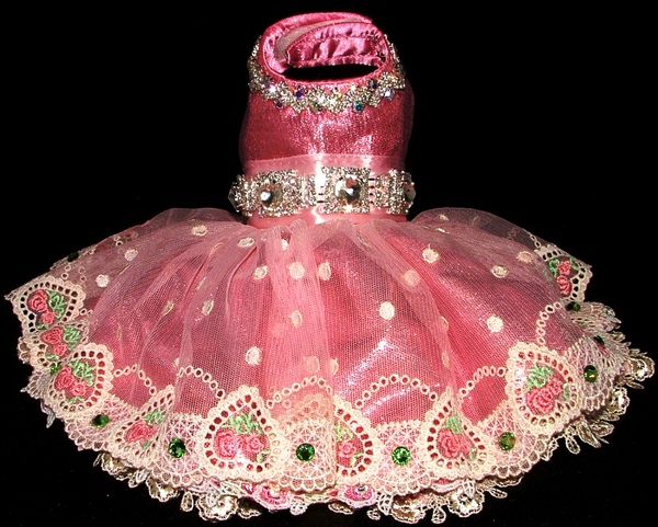 Portrait Dress-Style GG