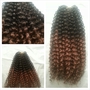 18", 20" & 22" Brazilian Kinky Curly OMBRE [3 Bundles] *New*-1