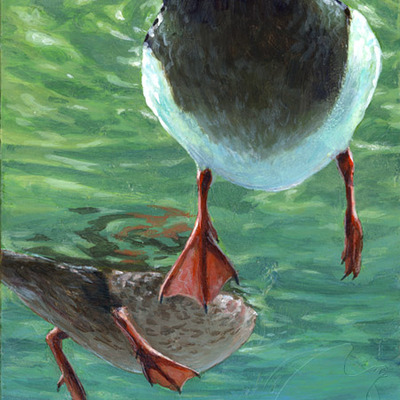 Sale 8x10  "a different perspective" print